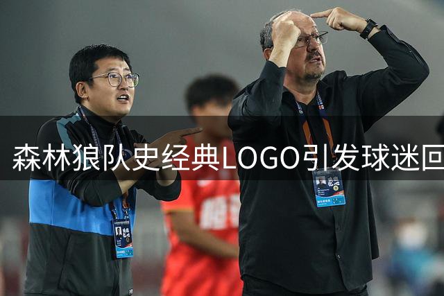 森林狼队史经典LOGO引发球迷回忆杀 加内特勒福谁更具代表性？