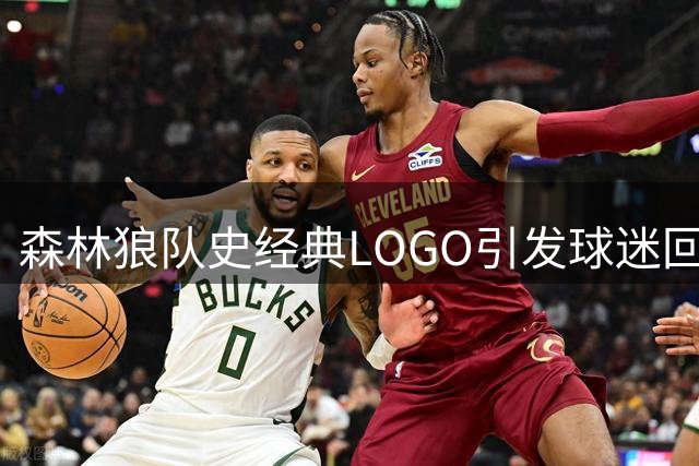 森林狼队史经典LOGO引发球迷回忆杀 加内特勒福谁更具代表性？